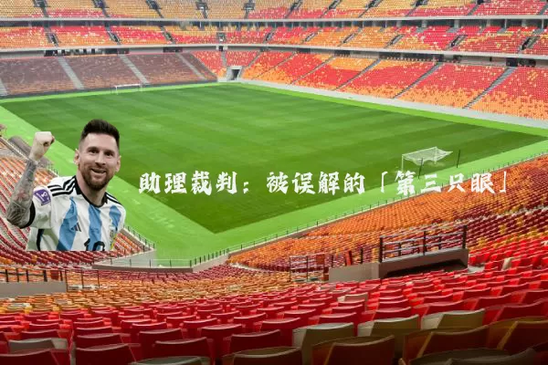 助理裁判：被误解的「第三只眼」